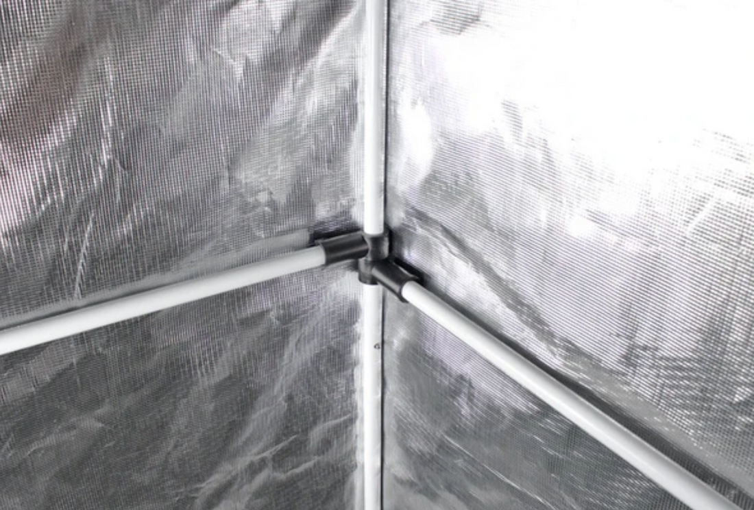 10 Steps To Set Up An Indoor Grow Tent