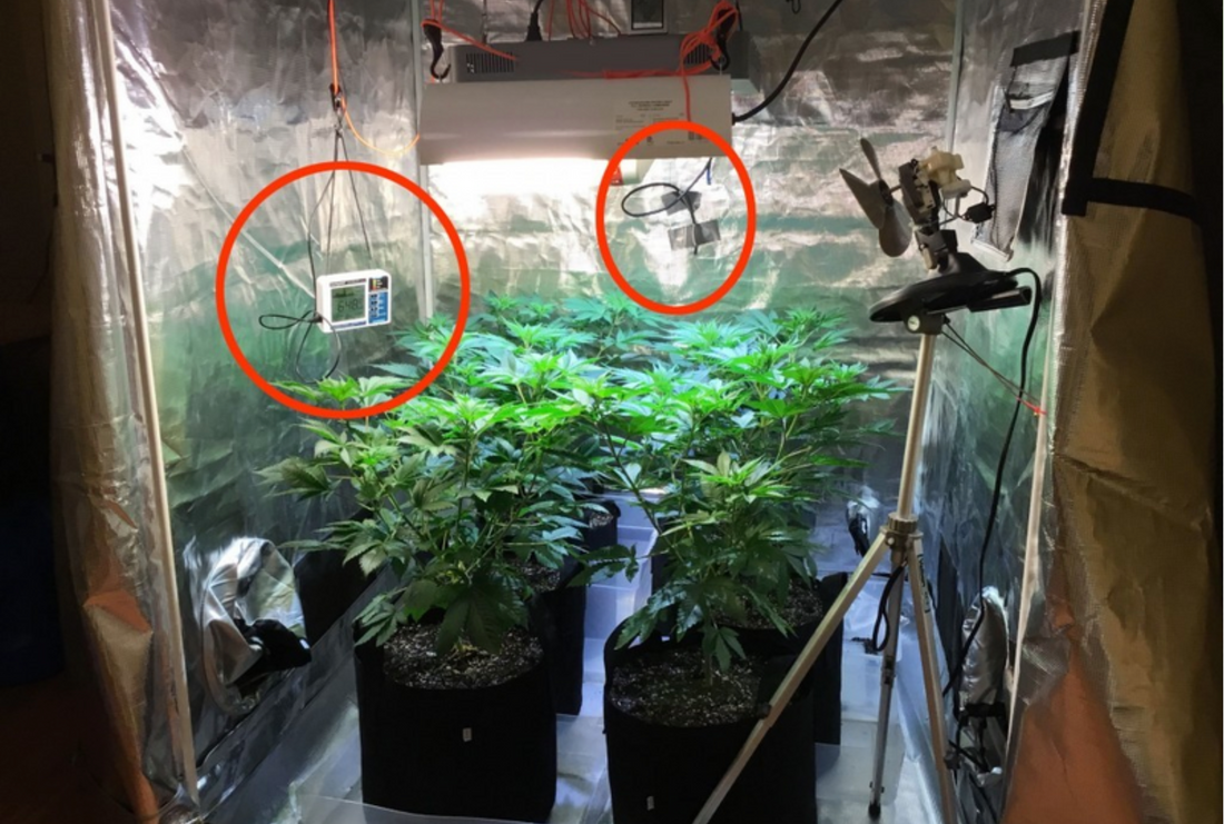 What Should I Look For In An Indoor Grow Tent?